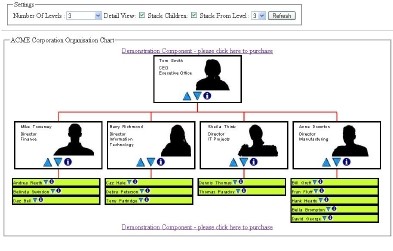 Software Engineering Org Chart